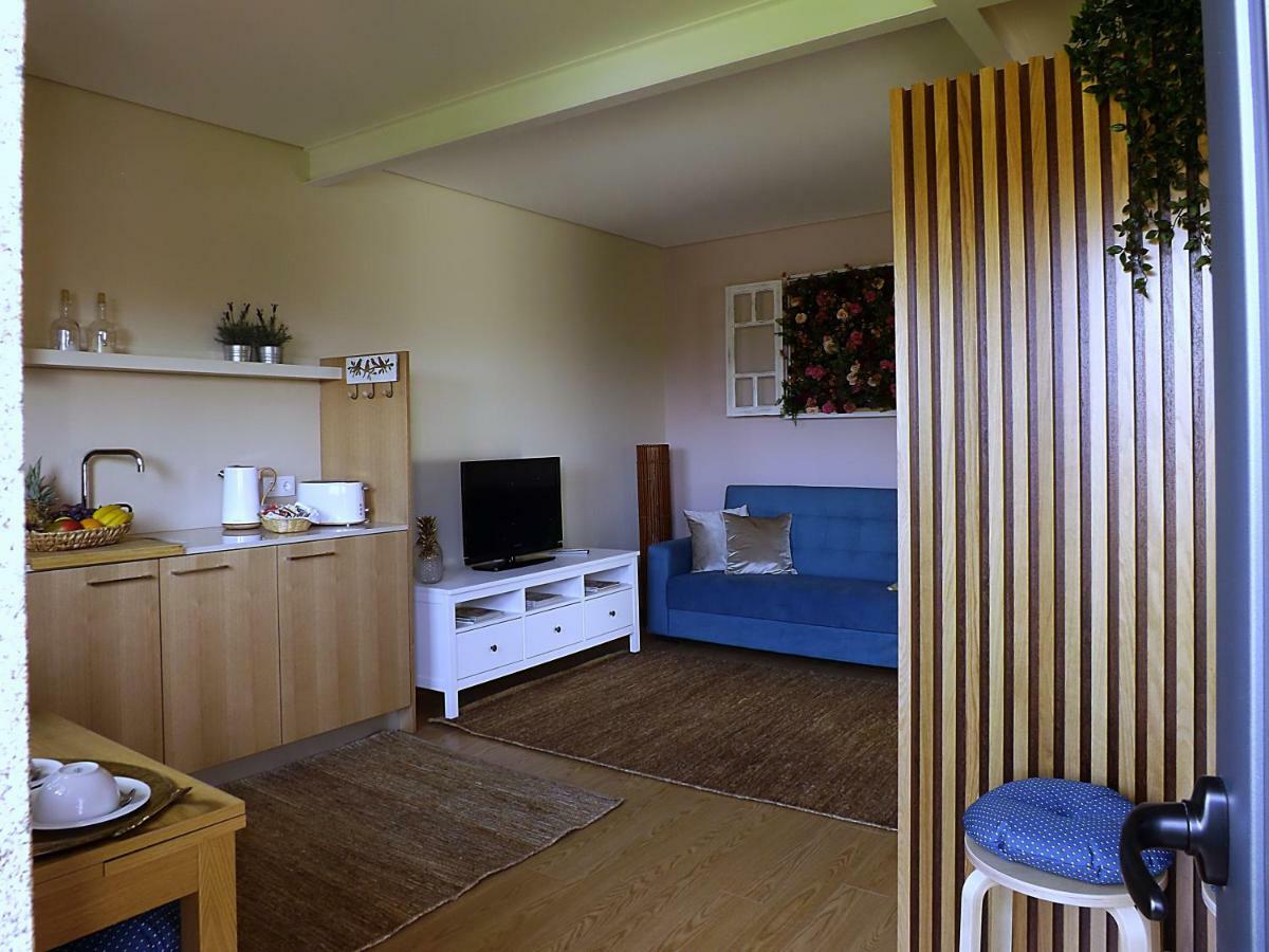 Casa Maximo Apartment Penafiel Bagian luar foto