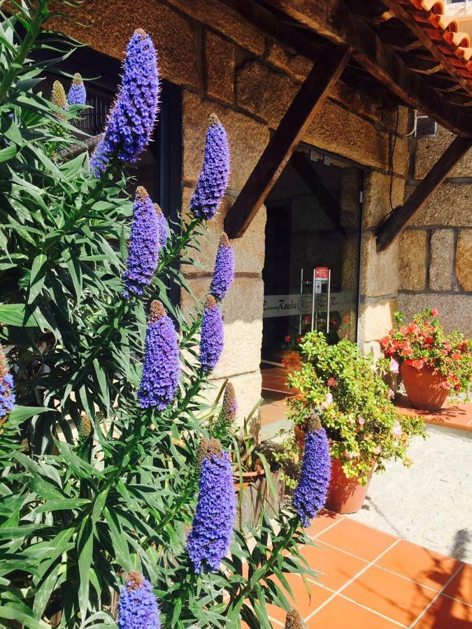 Casa Maximo Apartment Penafiel Bagian luar foto